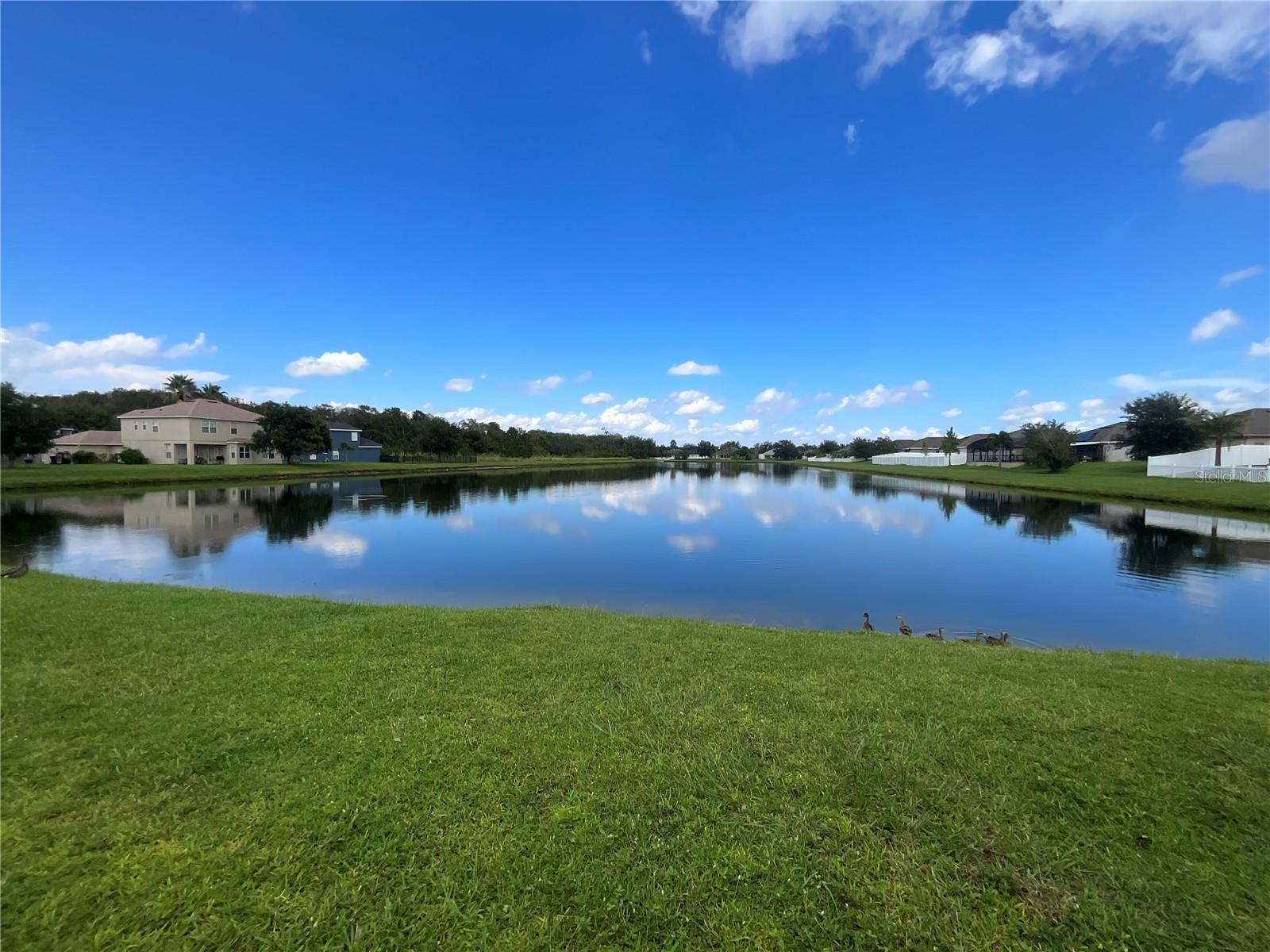 3643 DAYDREAM PL, SAINT CLOUD, FL, 34772
