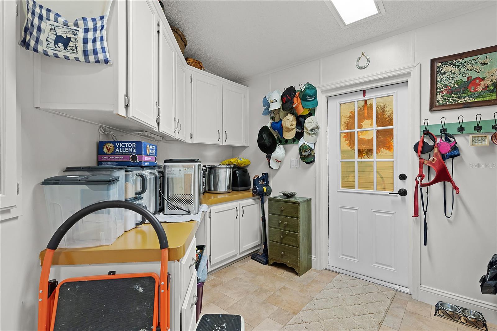 8333 COUNTY ROAD 109A-1, LADY LAKE, FL, 32159