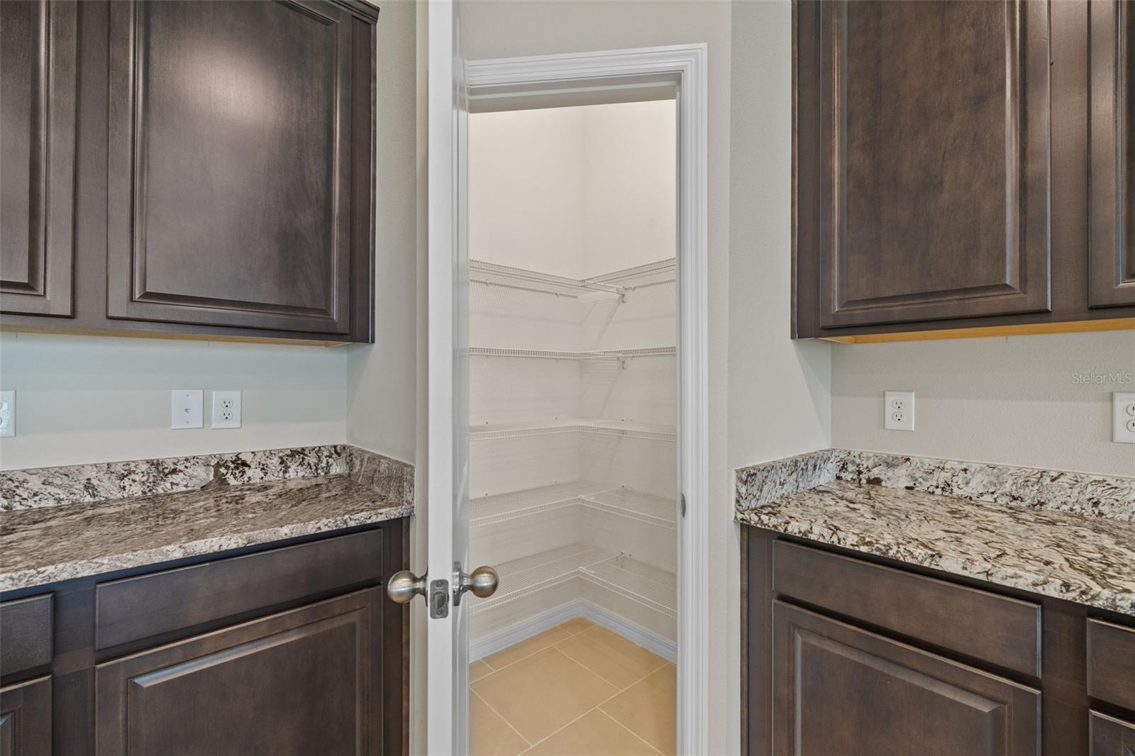 32003 CONCHSHELL SAIL ST, WESLEY CHAPEL, FL, 33545