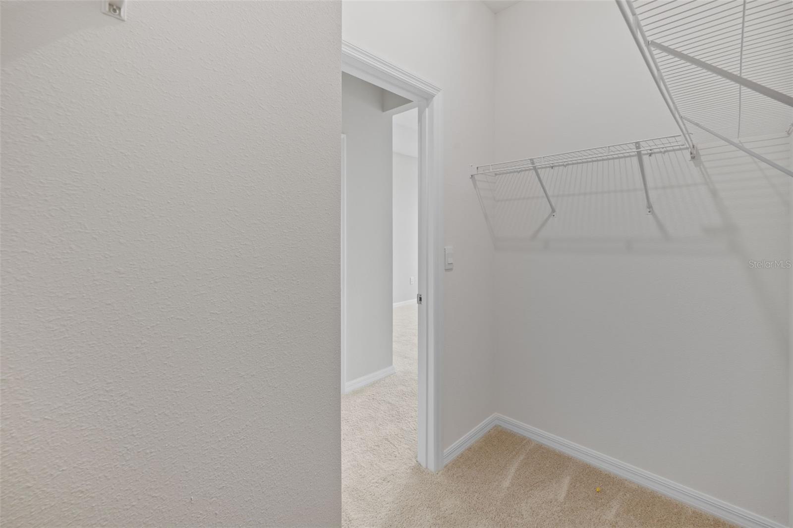 32003 CONCHSHELL SAIL ST, WESLEY CHAPEL, FL, 33545