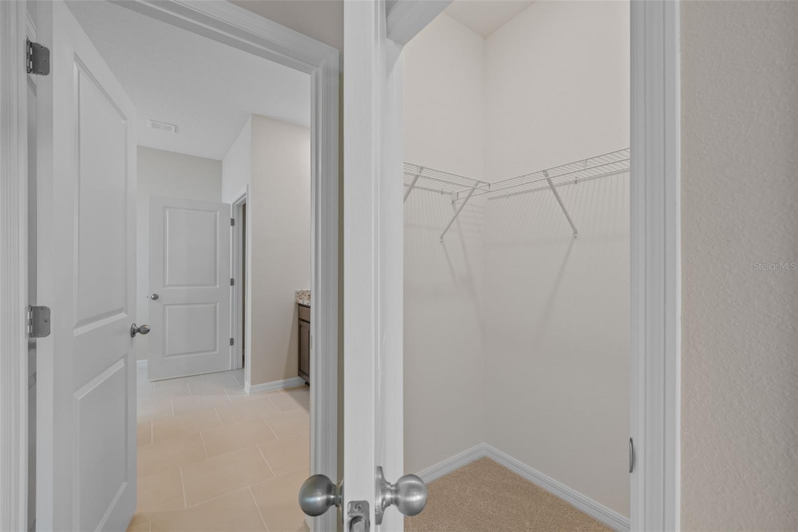 32003 CONCHSHELL SAIL ST, WESLEY CHAPEL, FL, 33545