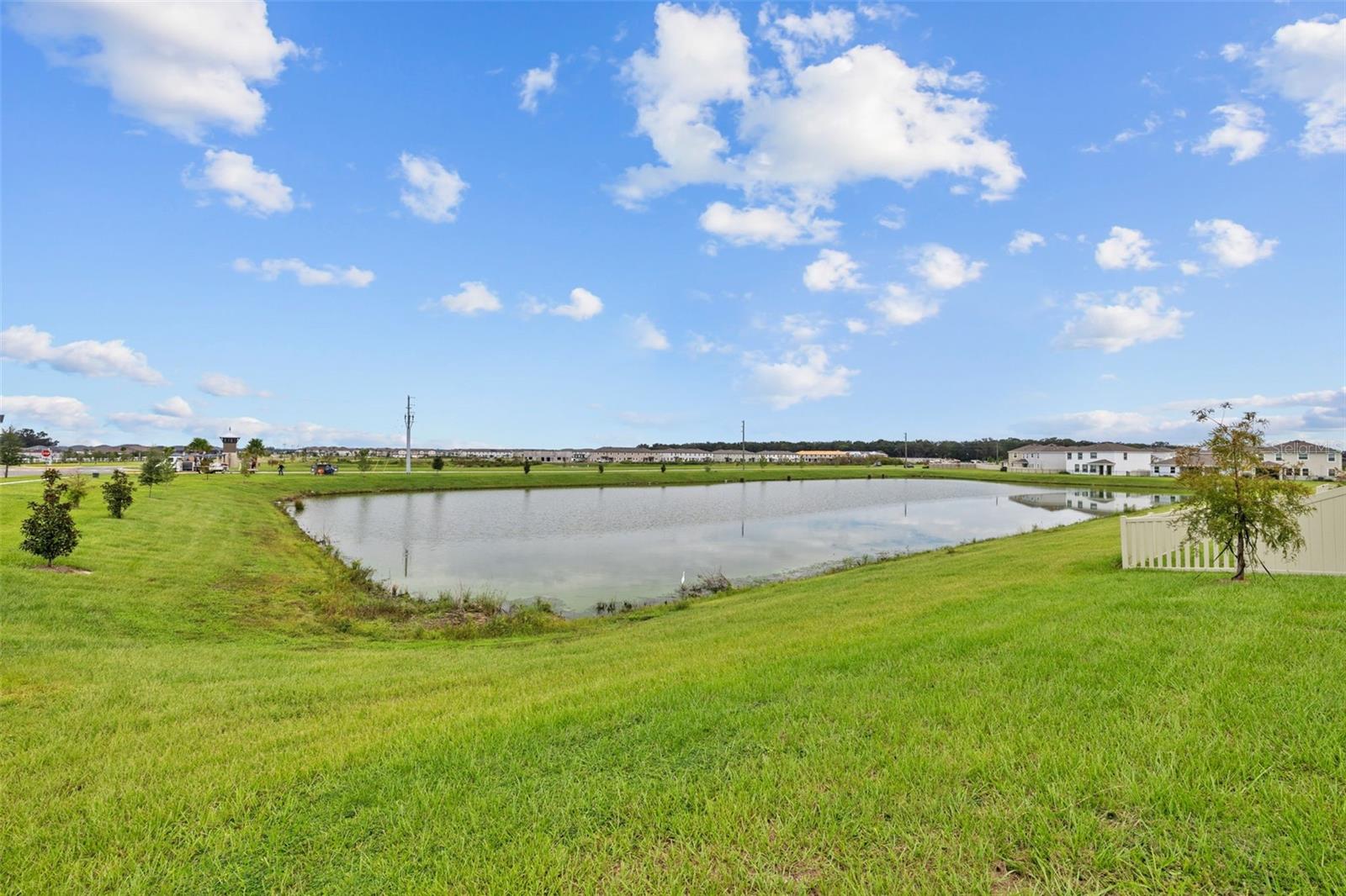 32003 CONCHSHELL SAIL ST, WESLEY CHAPEL, FL, 33545