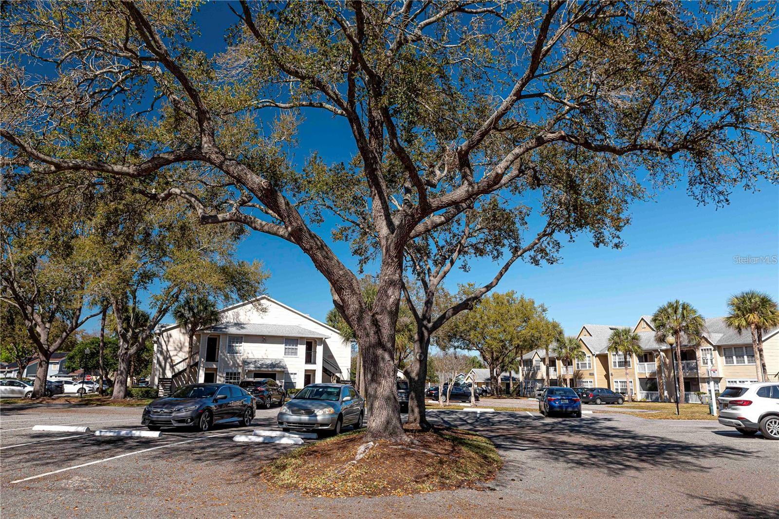1017 S HIAWASSEE RD #3727, ORLANDO, FL, 32835