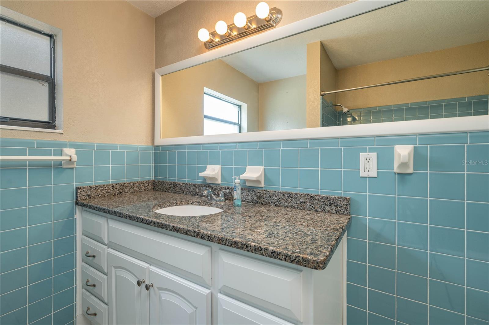 251 LAKE HOWARD DR SW, WINTER HAVEN, FL, 33880