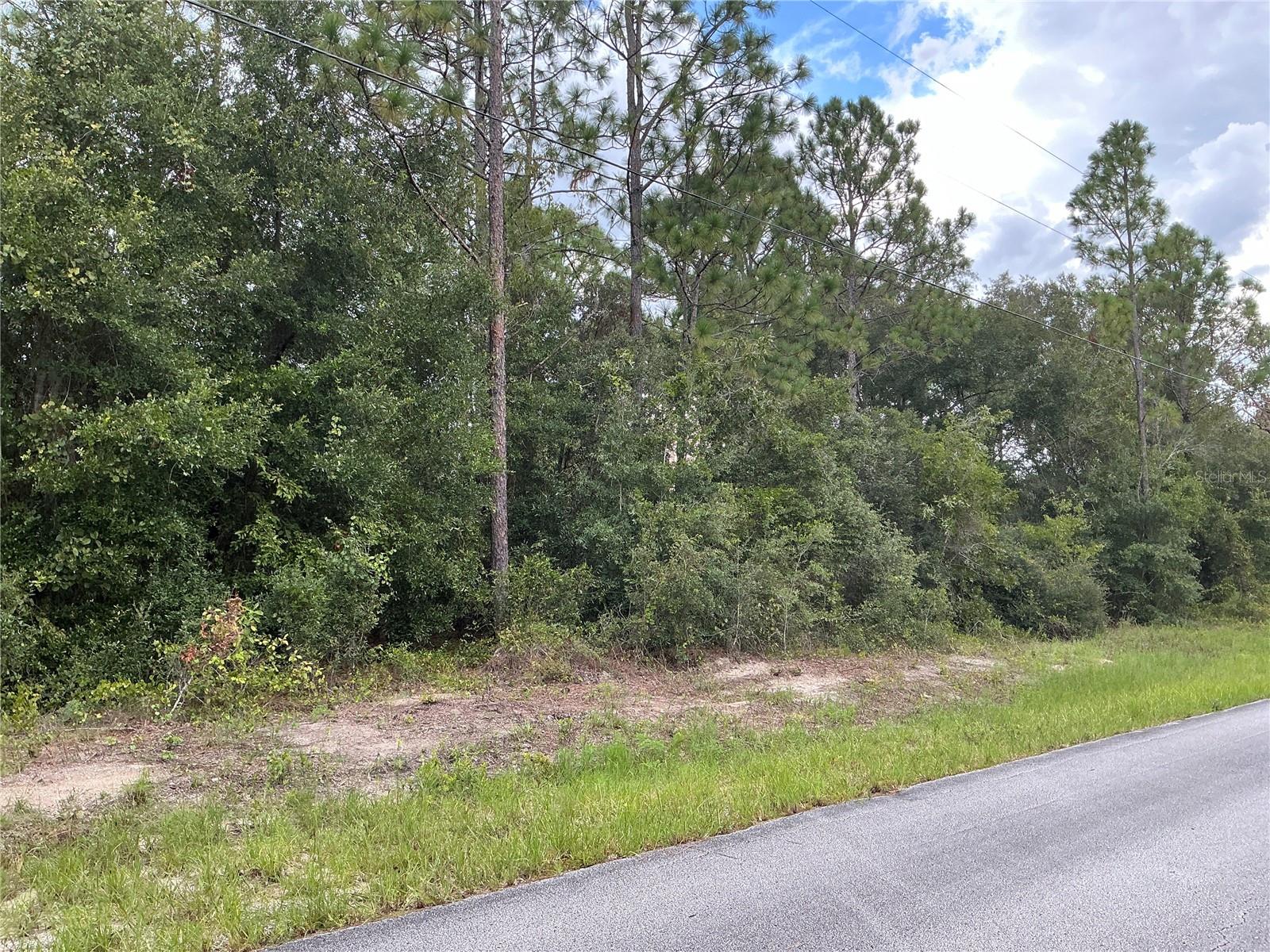 SW JONQUIL CT, DUNNELLON, FL, 34431