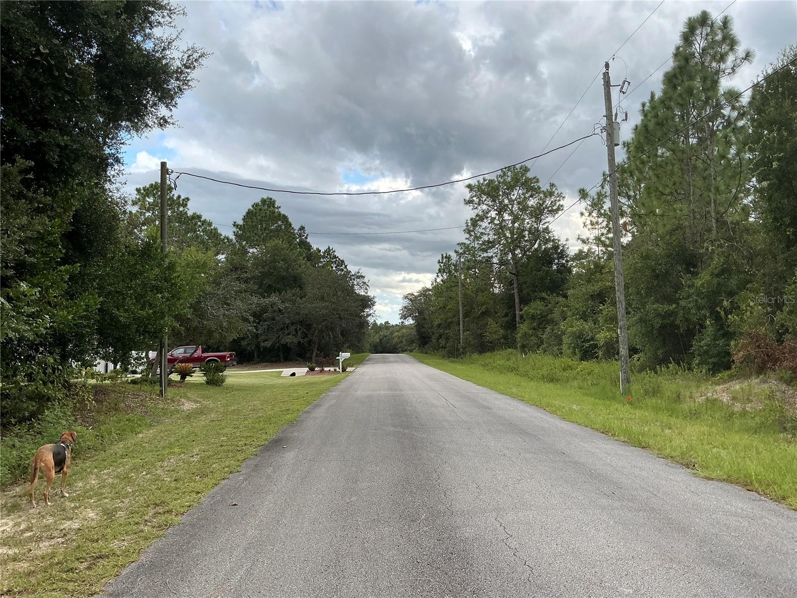 SW JONQUIL CT, DUNNELLON, FL, 34431