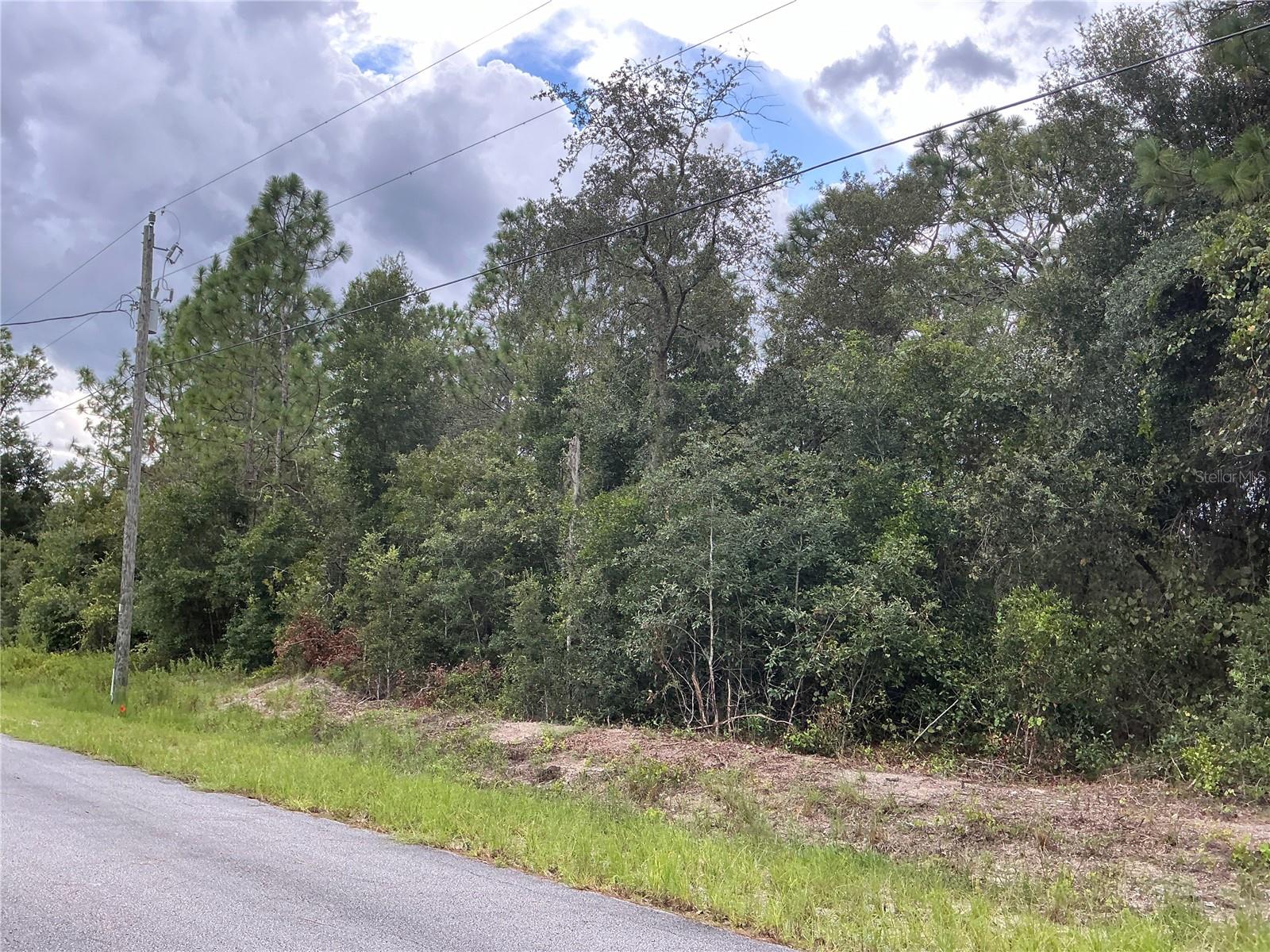 SW JONQUIL CT, DUNNELLON, FL, 34431