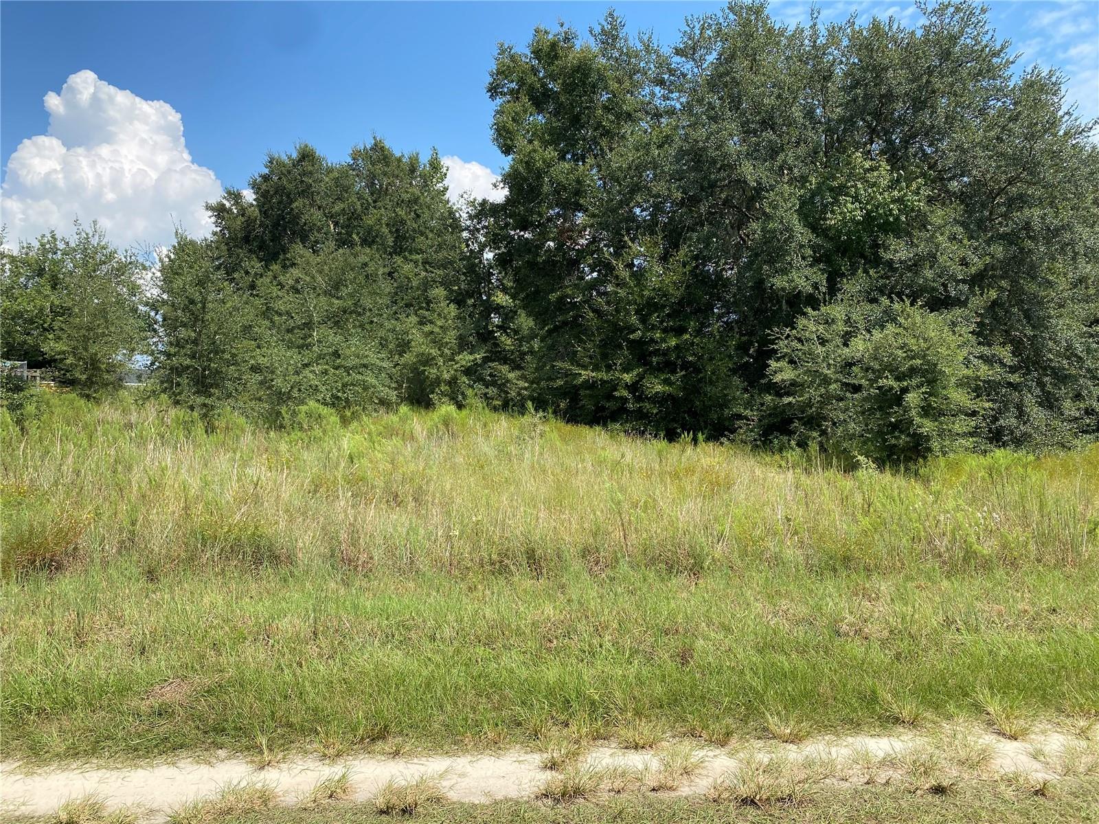 SW 105th place O, DUNNELLON, FL, 34432