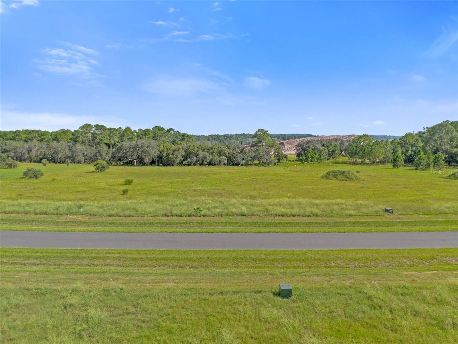 38530 WOODED MEADOW DRIVE, UMATILLA, FL, 32784