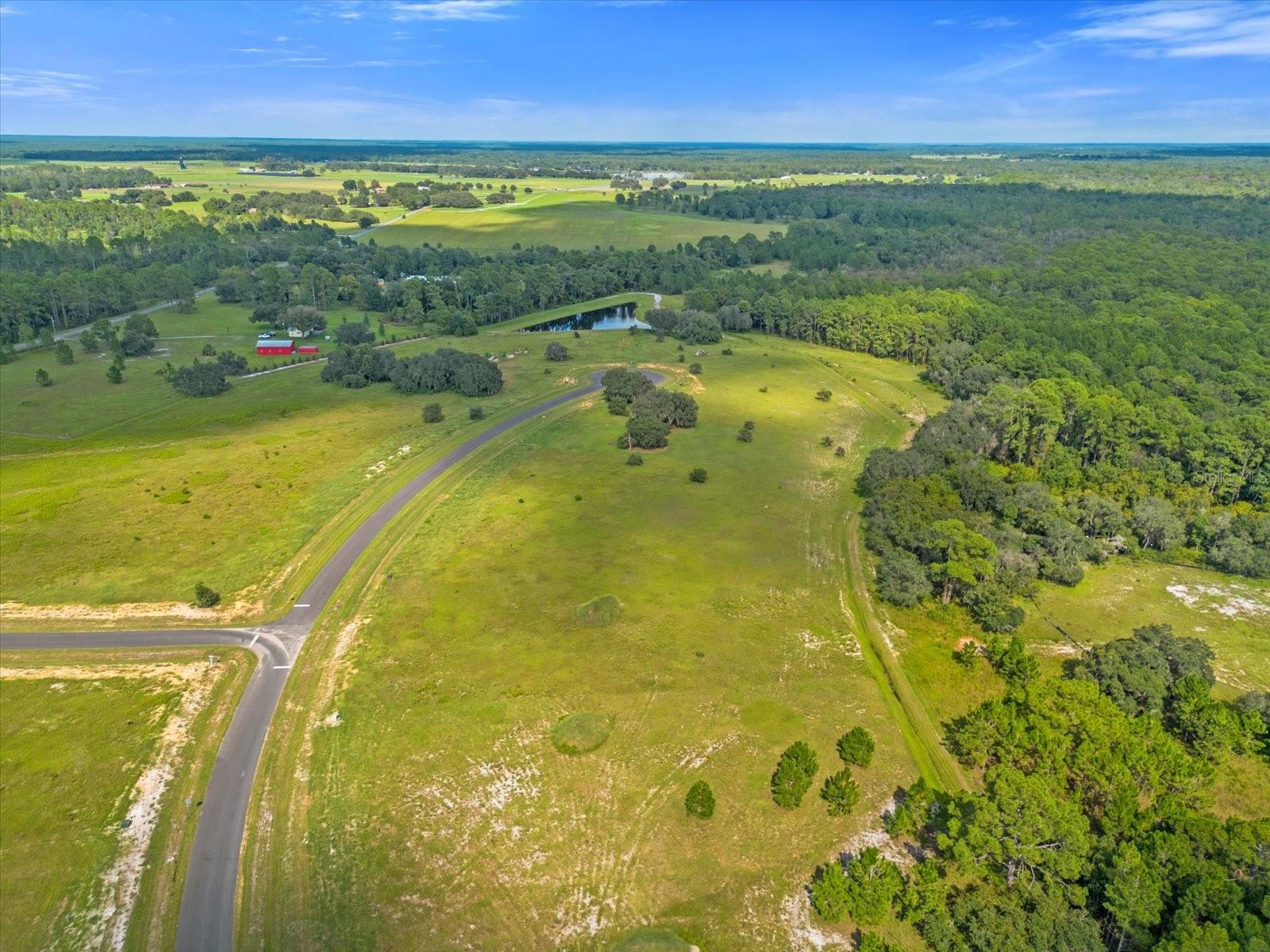 38530 WOODED MEADOW DRIVE, UMATILLA, FL, 32784