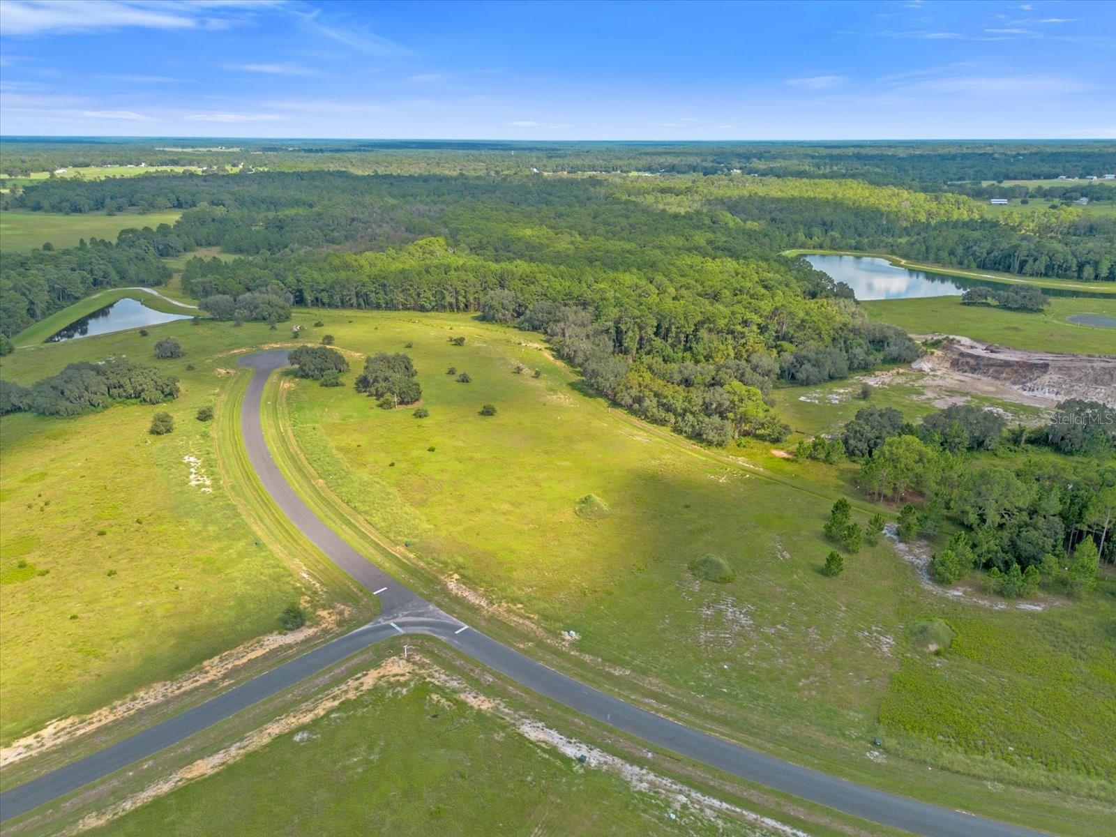 38530 WOODED MEADOW DRIVE, UMATILLA, FL, 32784