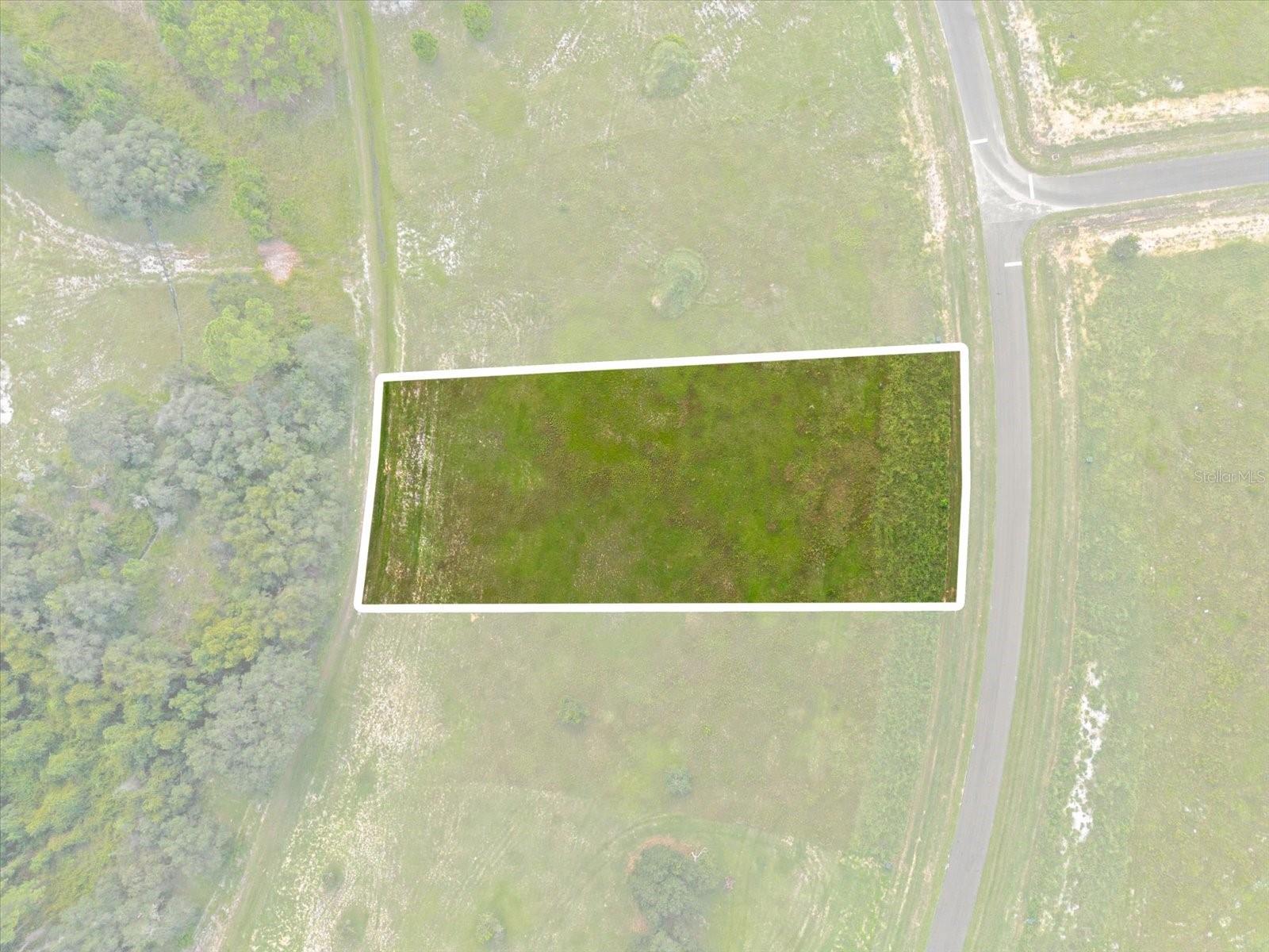 38530 WOODED MEADOW DRIVE, UMATILLA, FL, 32784