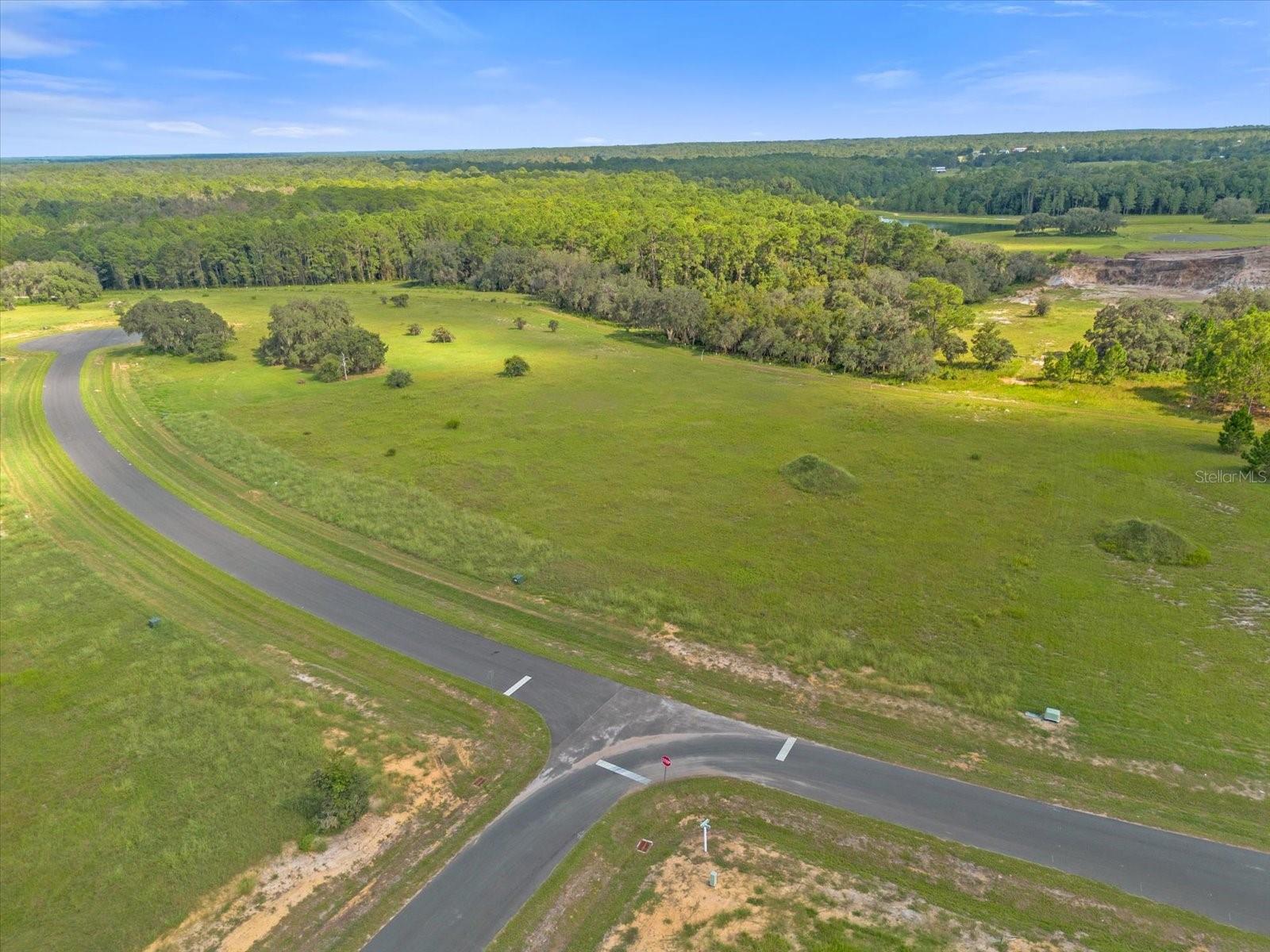 38530 WOODED MEADOW DRIVE, UMATILLA, FL, 32784