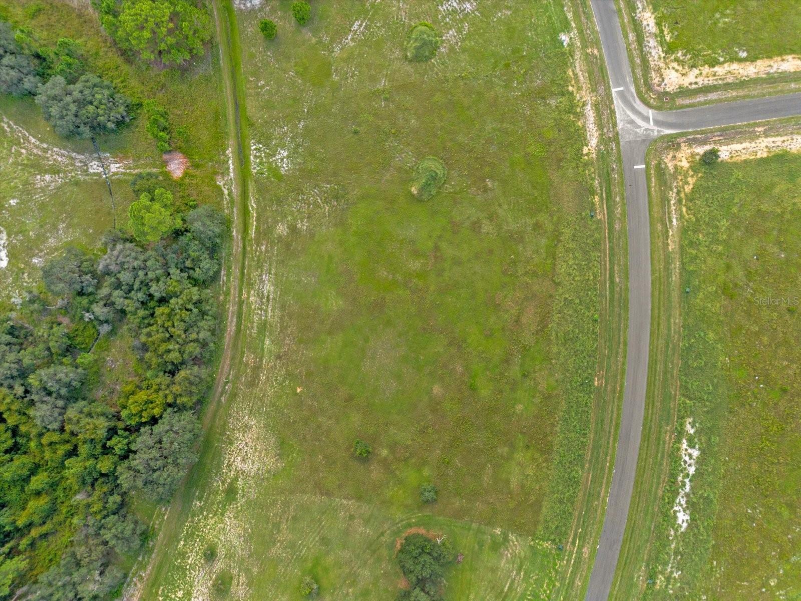 38530 WOODED MEADOW DRIVE, UMATILLA, FL, 32784