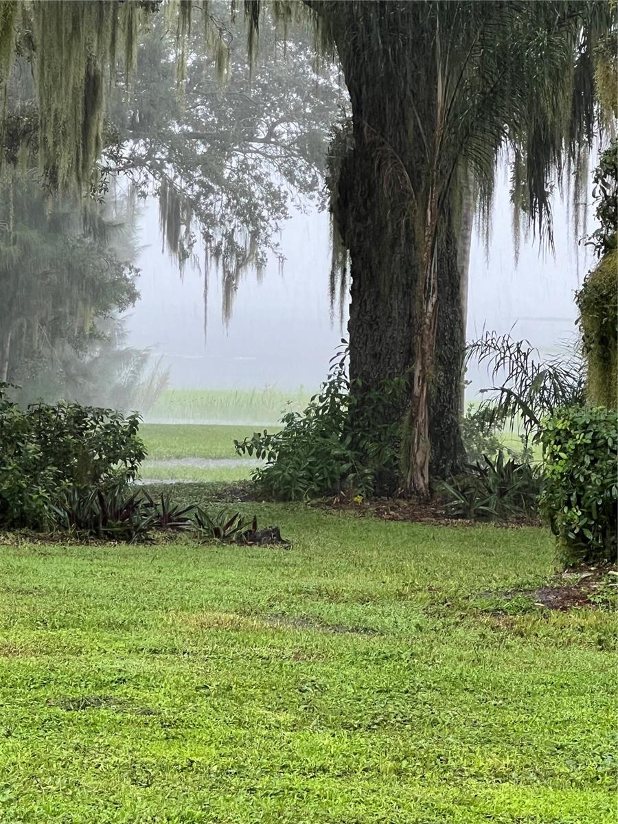 9036 OGILVIE DR, ORLANDO, FL, 32819