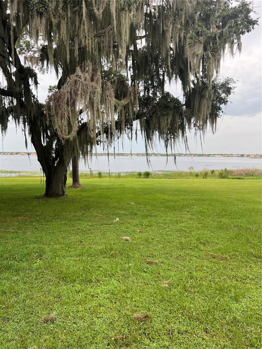 9036 OGILVIE DR, ORLANDO, FL, 32819