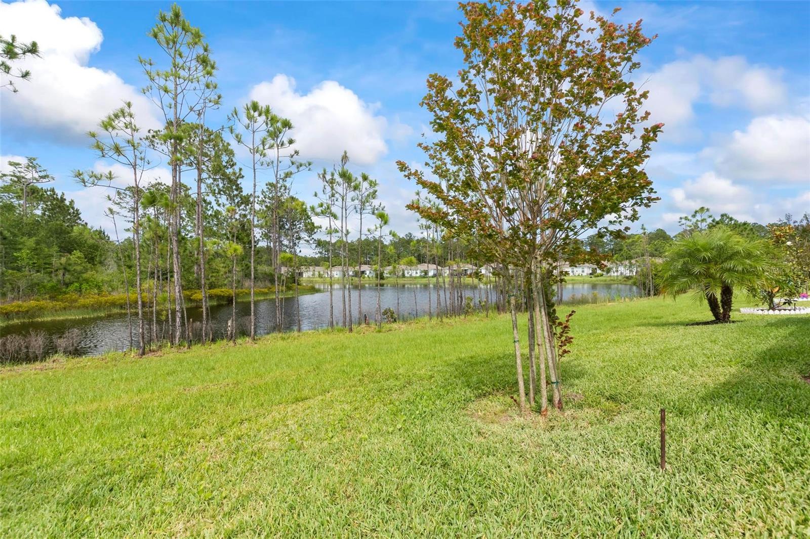 771 GRAND RESERVE DR, BUNNELL, FL, 32110