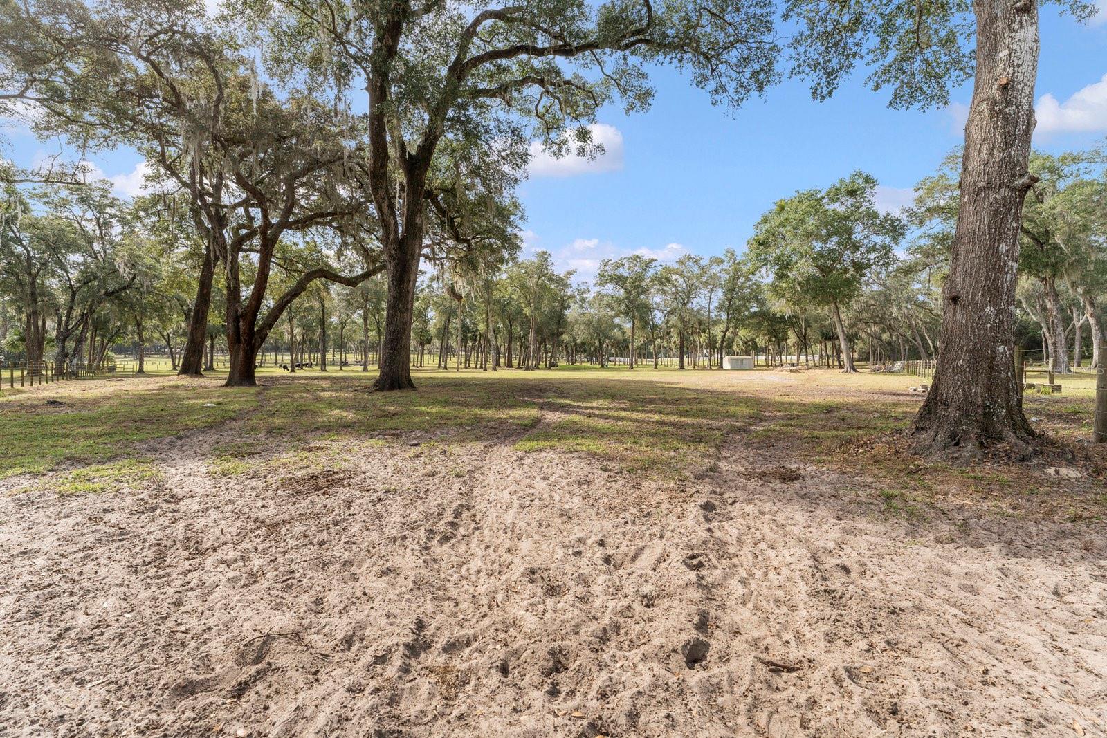 0000 FISHERMANS RD, PAISLEY, FL, 32767