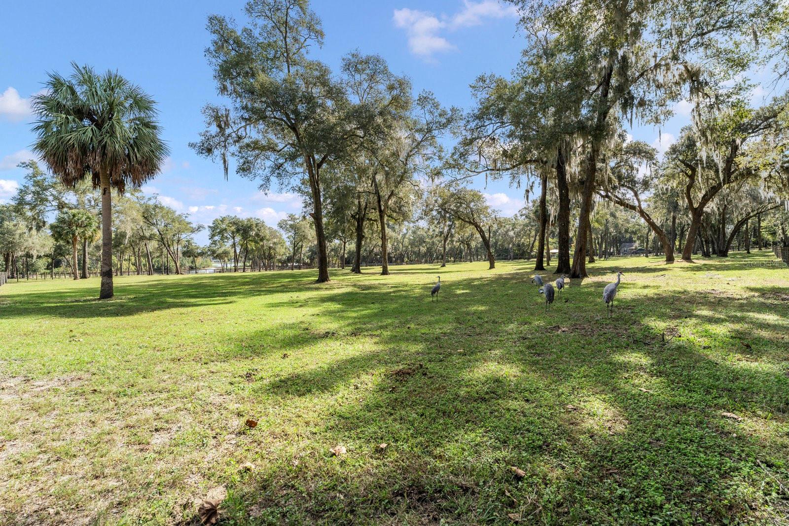 0000 FISHERMANS RD, PAISLEY, FL, 32767