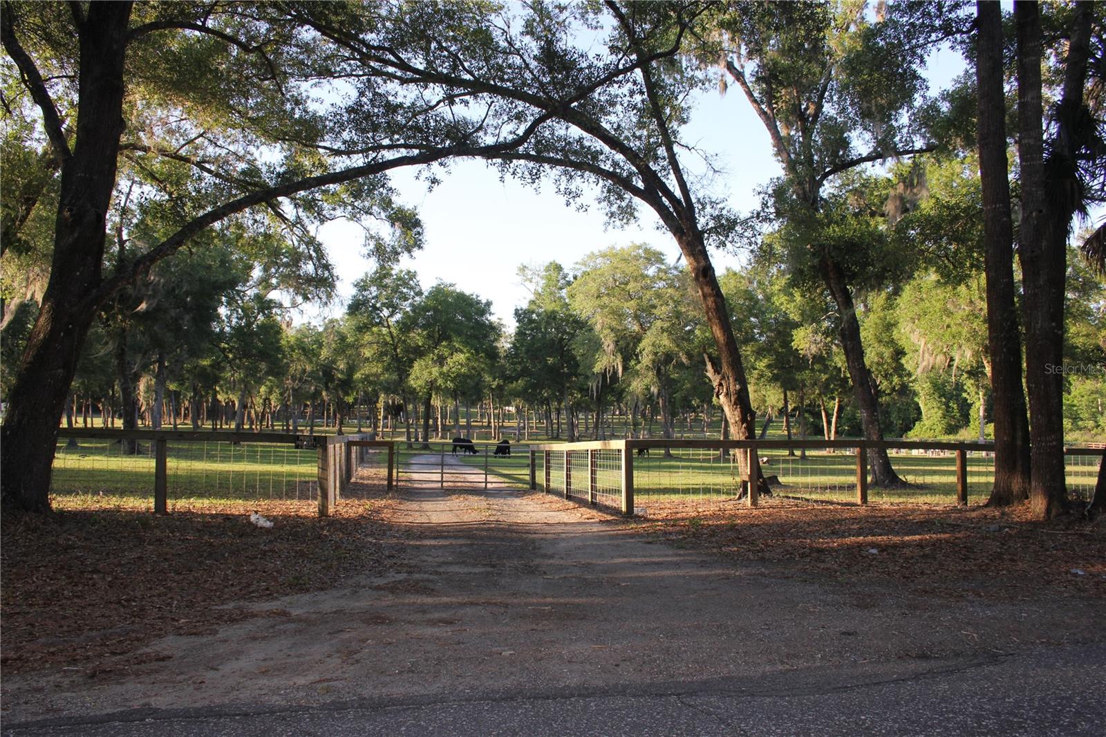 0000 FISHERMANS RD, PAISLEY, FL, 32767