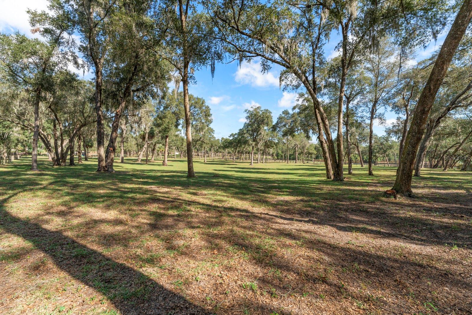 0000 FISHERMANS RD, PAISLEY, FL, 32767