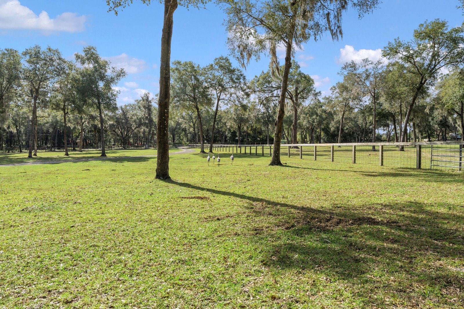 0000 FISHERMANS RD, PAISLEY, FL, 32767