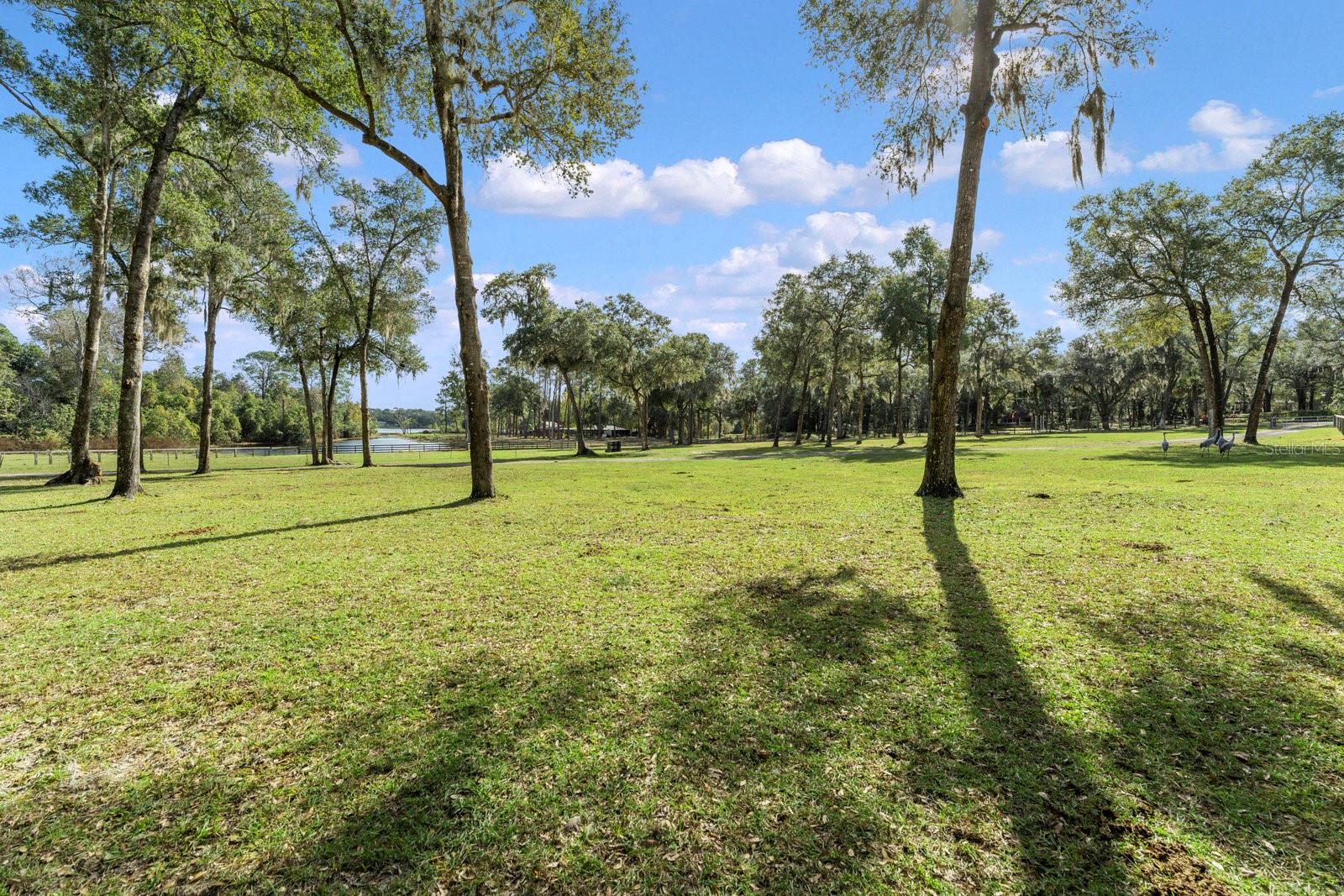 0000 FISHERMANS RD, PAISLEY, FL, 32767