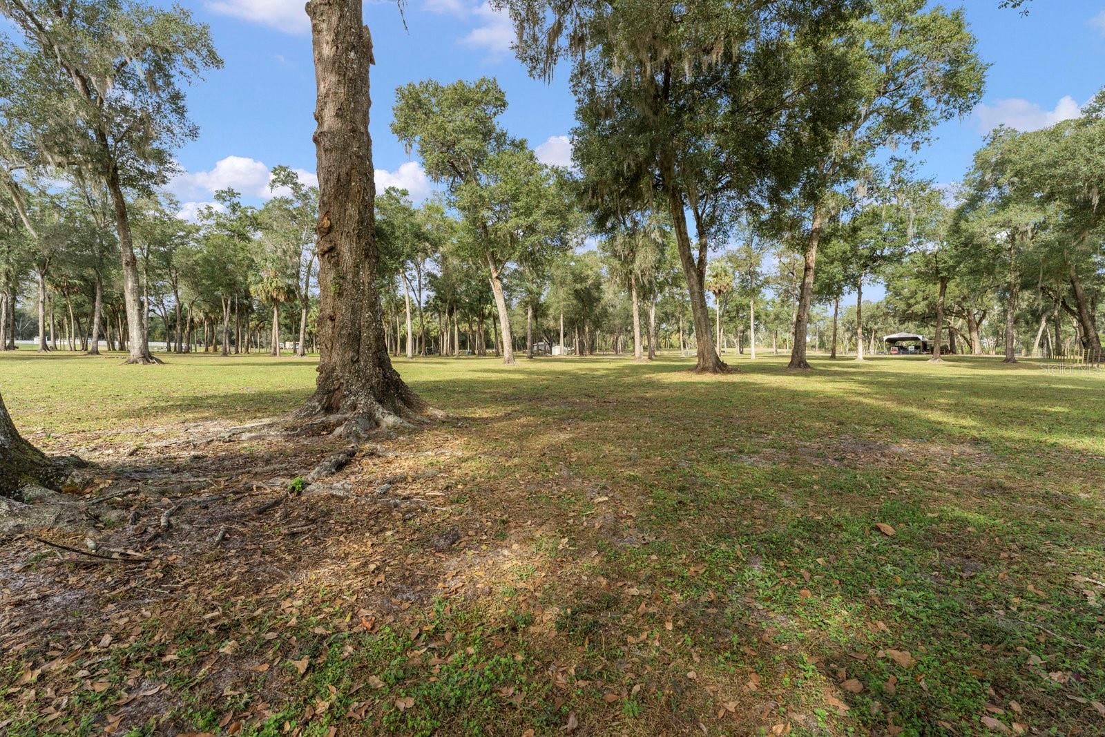 0000 FISHERMANS RD, PAISLEY, FL, 32767