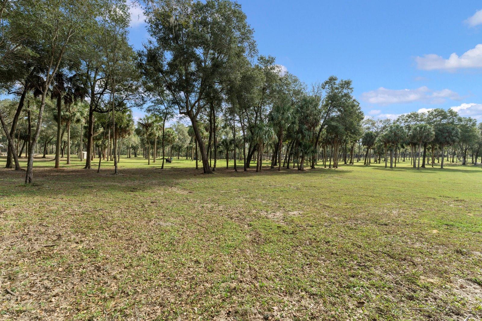 0000 FISHERMANS RD, PAISLEY, FL, 32767