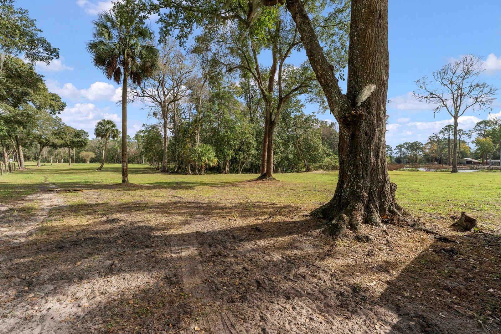 0000 FISHERMANS RD, PAISLEY, FL, 32767