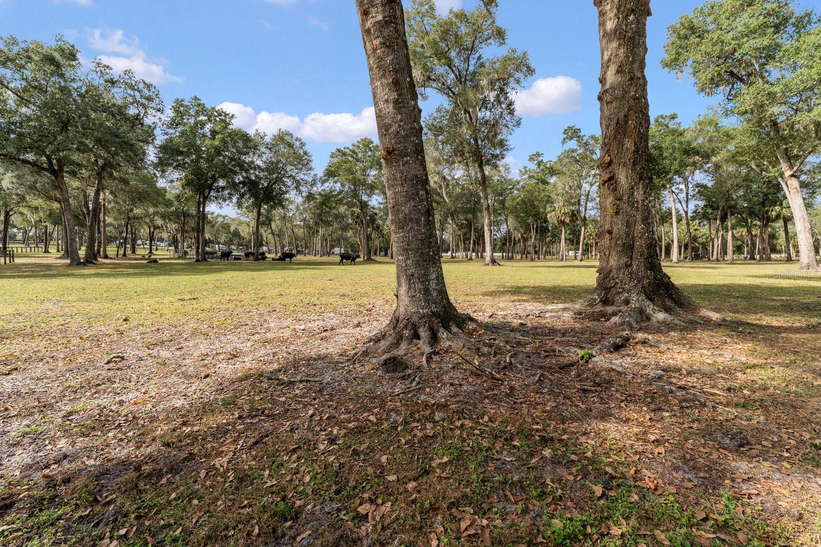 0000 FISHERMANS RD, PAISLEY, FL, 32767