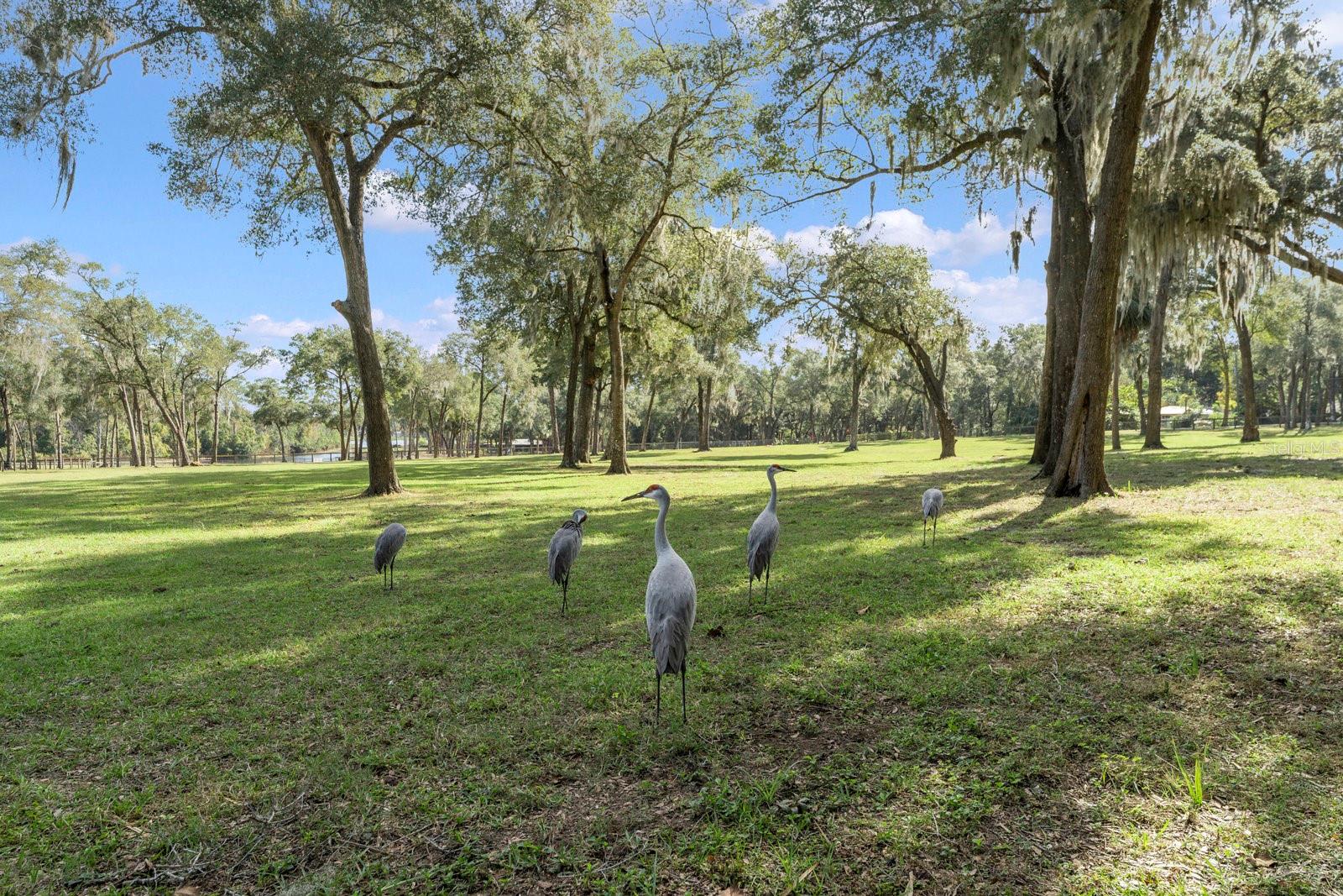 0000 FISHERMANS RD, PAISLEY, FL, 32767