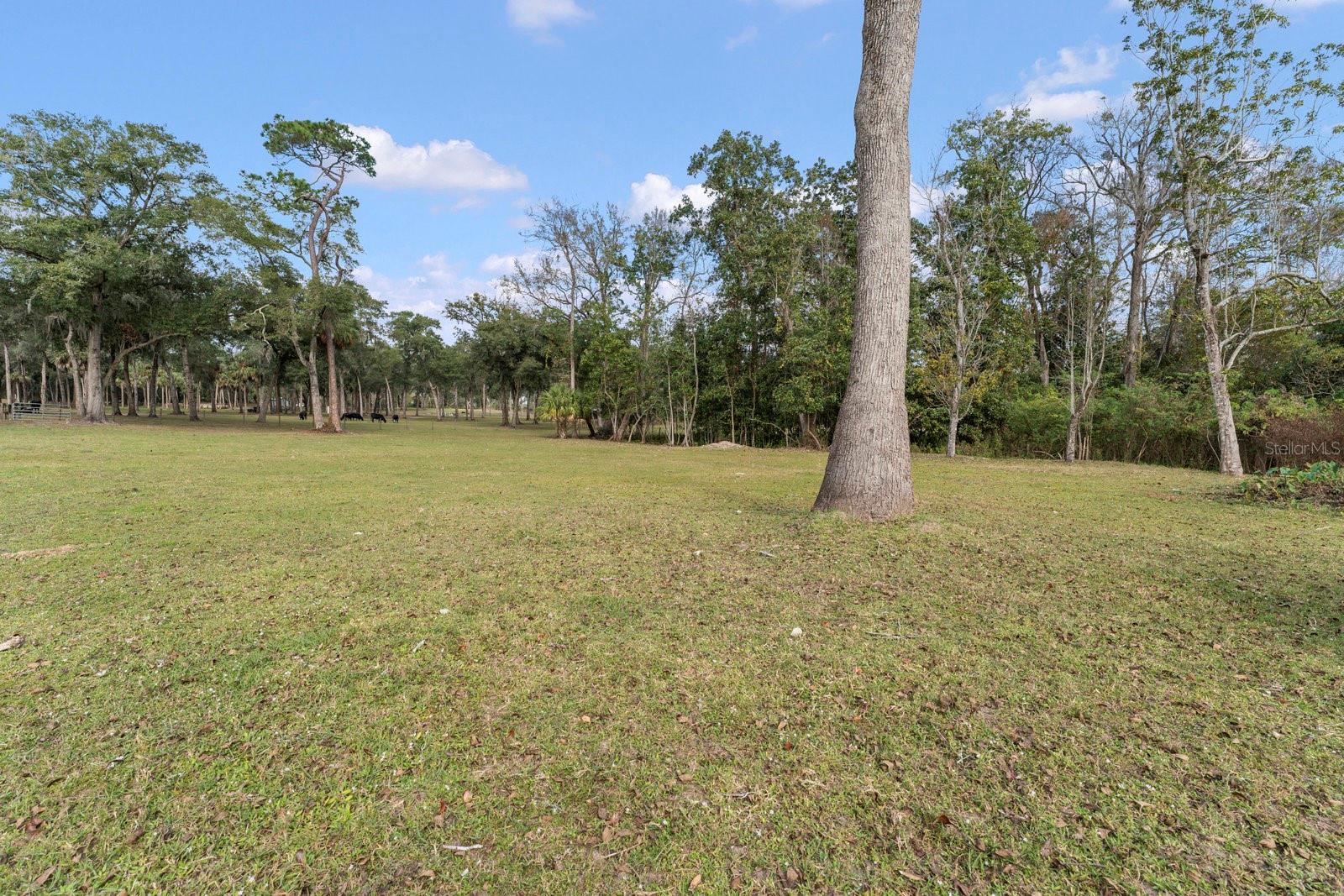 0000 FISHERMANS RD, PAISLEY, FL, 32767