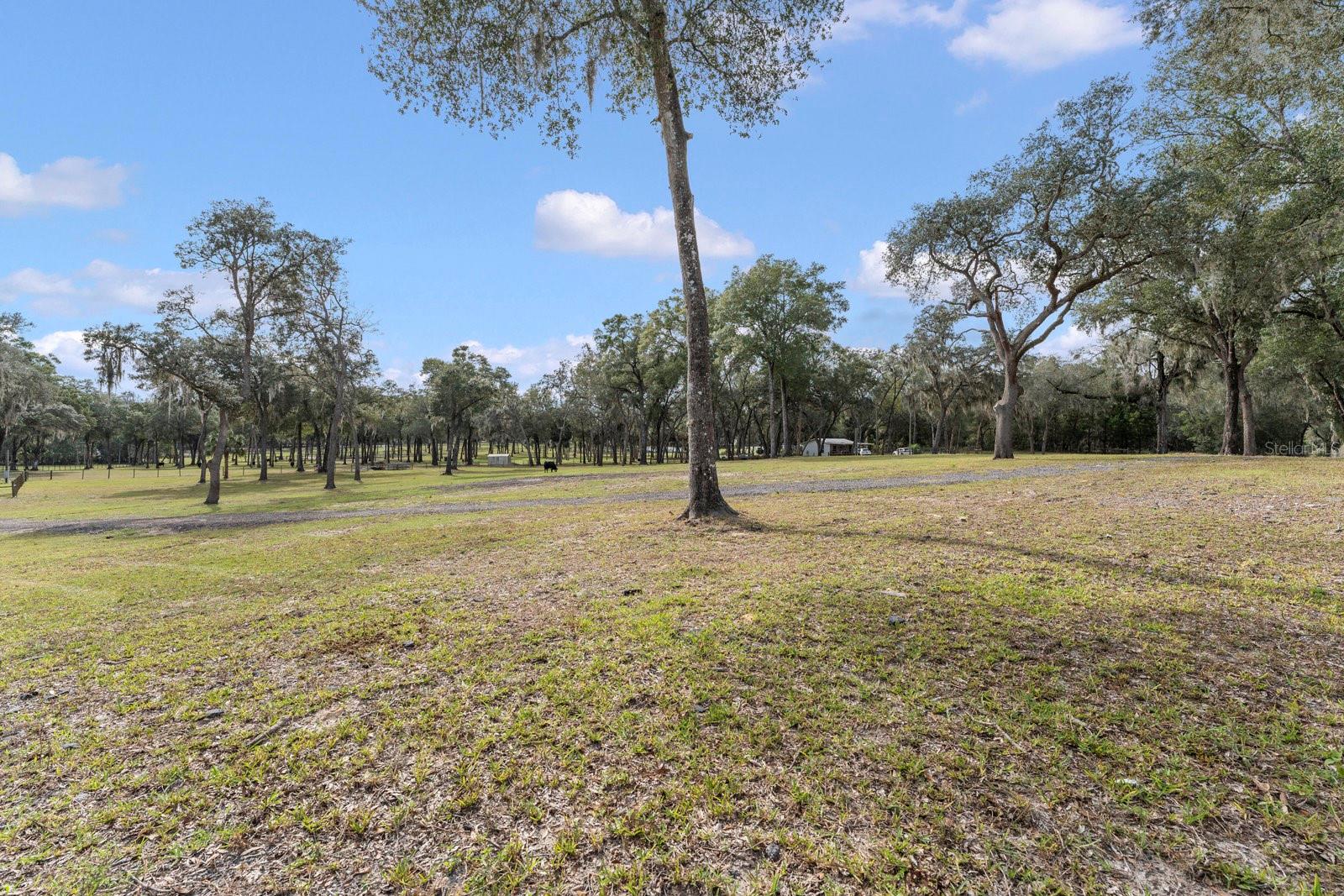 0000 FISHERMANS RD, PAISLEY, FL, 32767