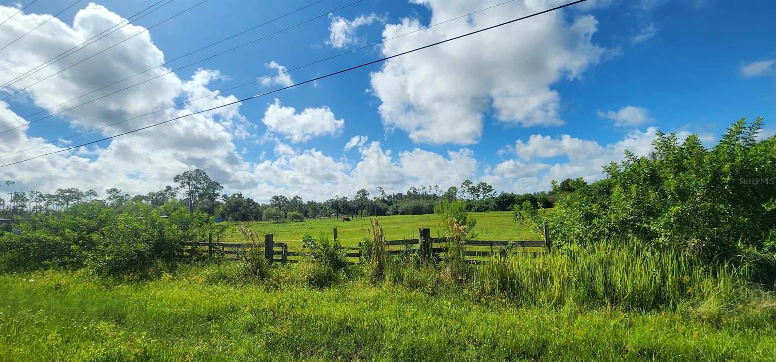 41301 LITTLE FARM RD, PUNTA GORDA, FL, 33982