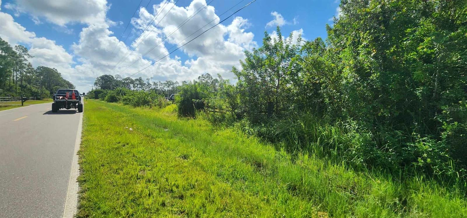 41301 LITTLE FARM RD, PUNTA GORDA, FL, 33982