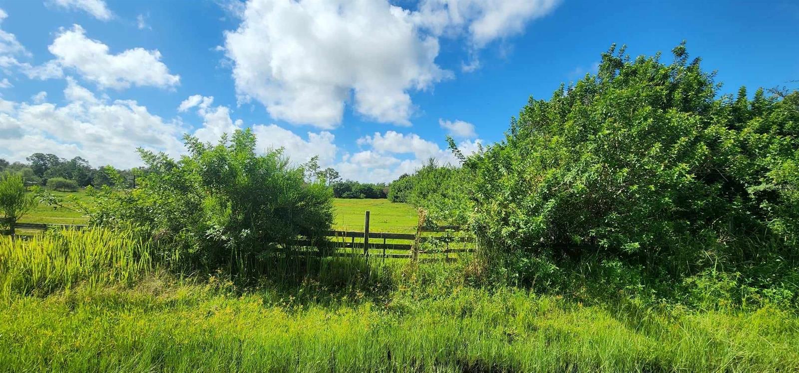 41301 LITTLE FARM RD, PUNTA GORDA, FL, 33982