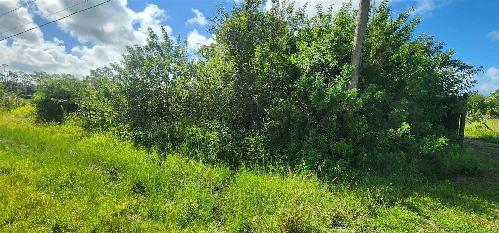 41301 LITTLE FARM RD, PUNTA GORDA, FL, 33982