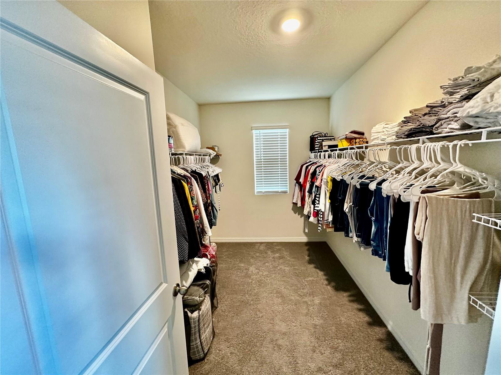 10589 PENNY GALE LOOP, SAN ANTONIO, FL, 33576