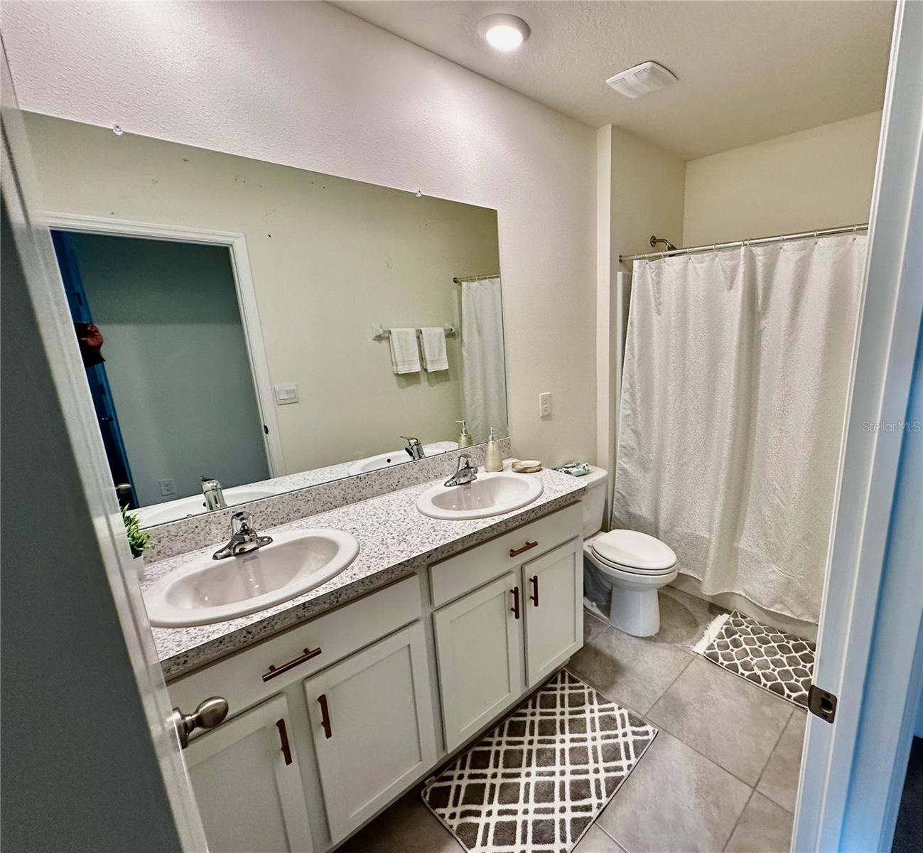 10589 PENNY GALE LOOP, SAN ANTONIO, FL, 33576