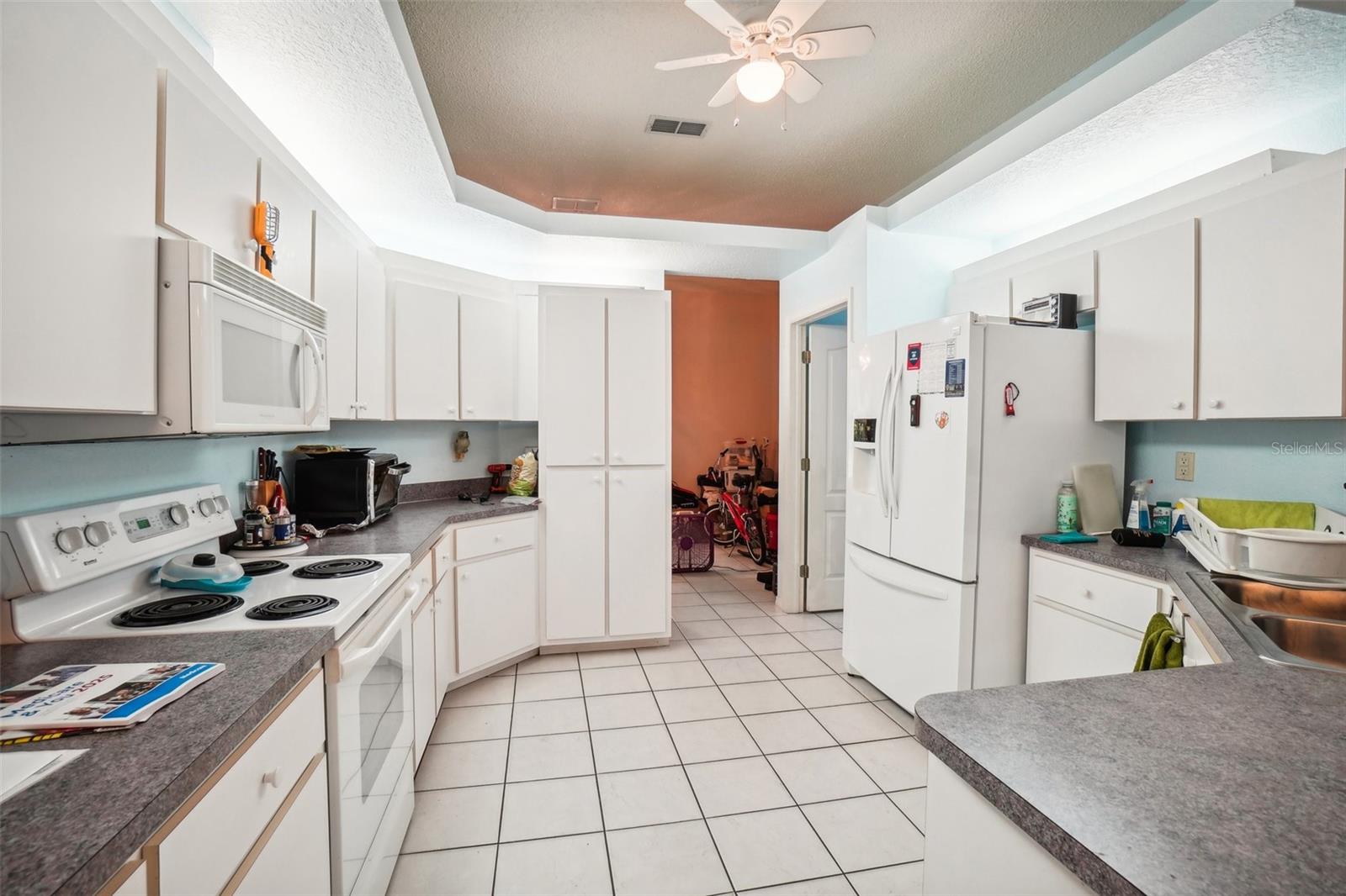 289 DANDELION CT, SPRING HILL, FL, 34606