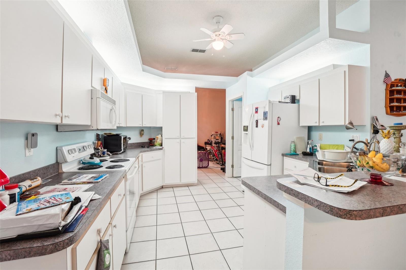 289 DANDELION CT, SPRING HILL, FL, 34606
