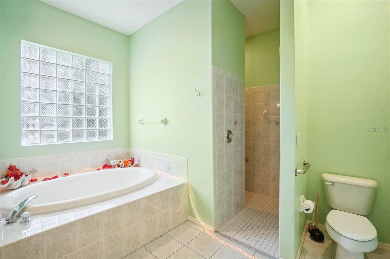 289 DANDELION CT, SPRING HILL, FL, 34606
