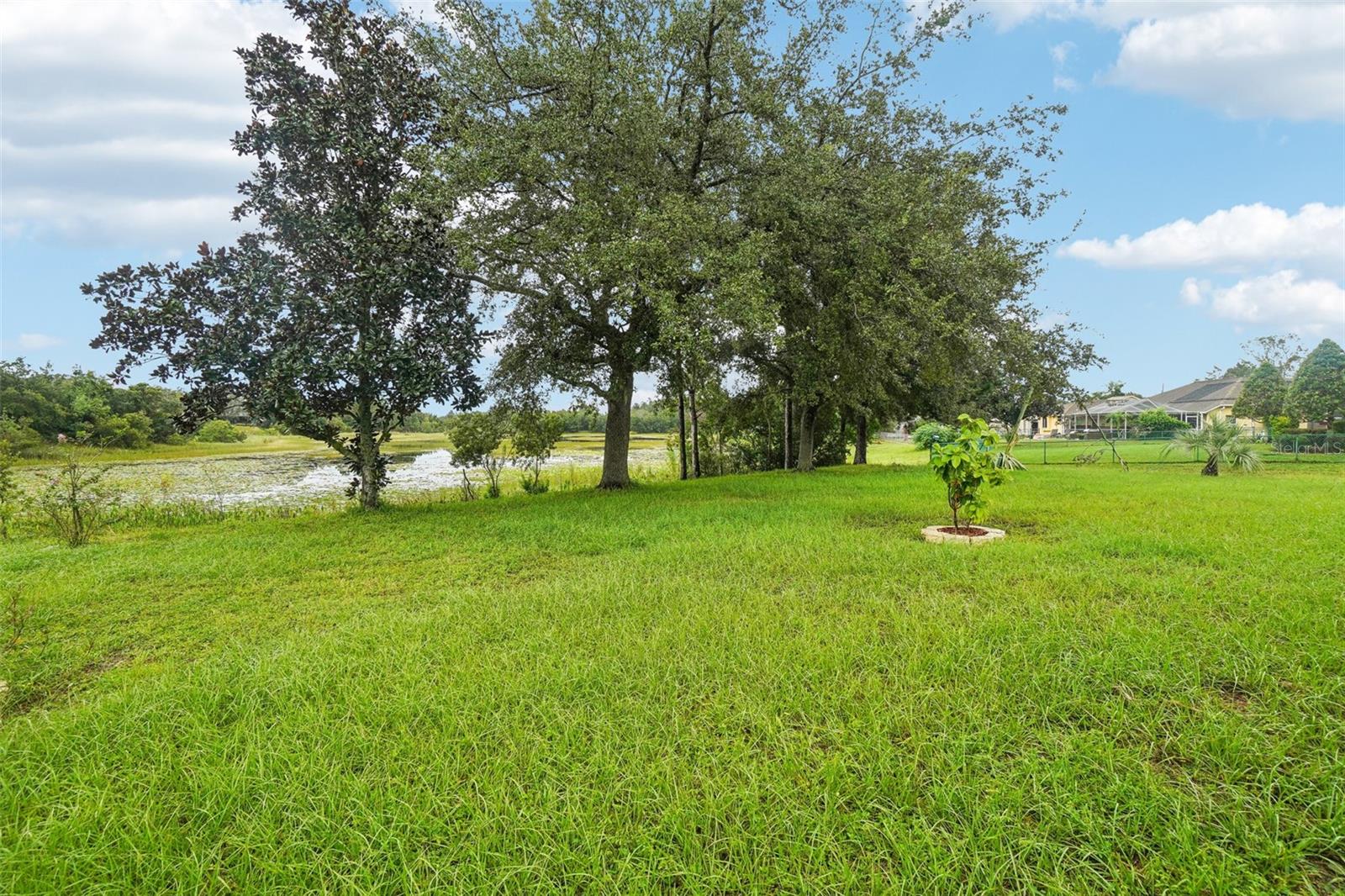 289 DANDELION CT, SPRING HILL, FL, 34606