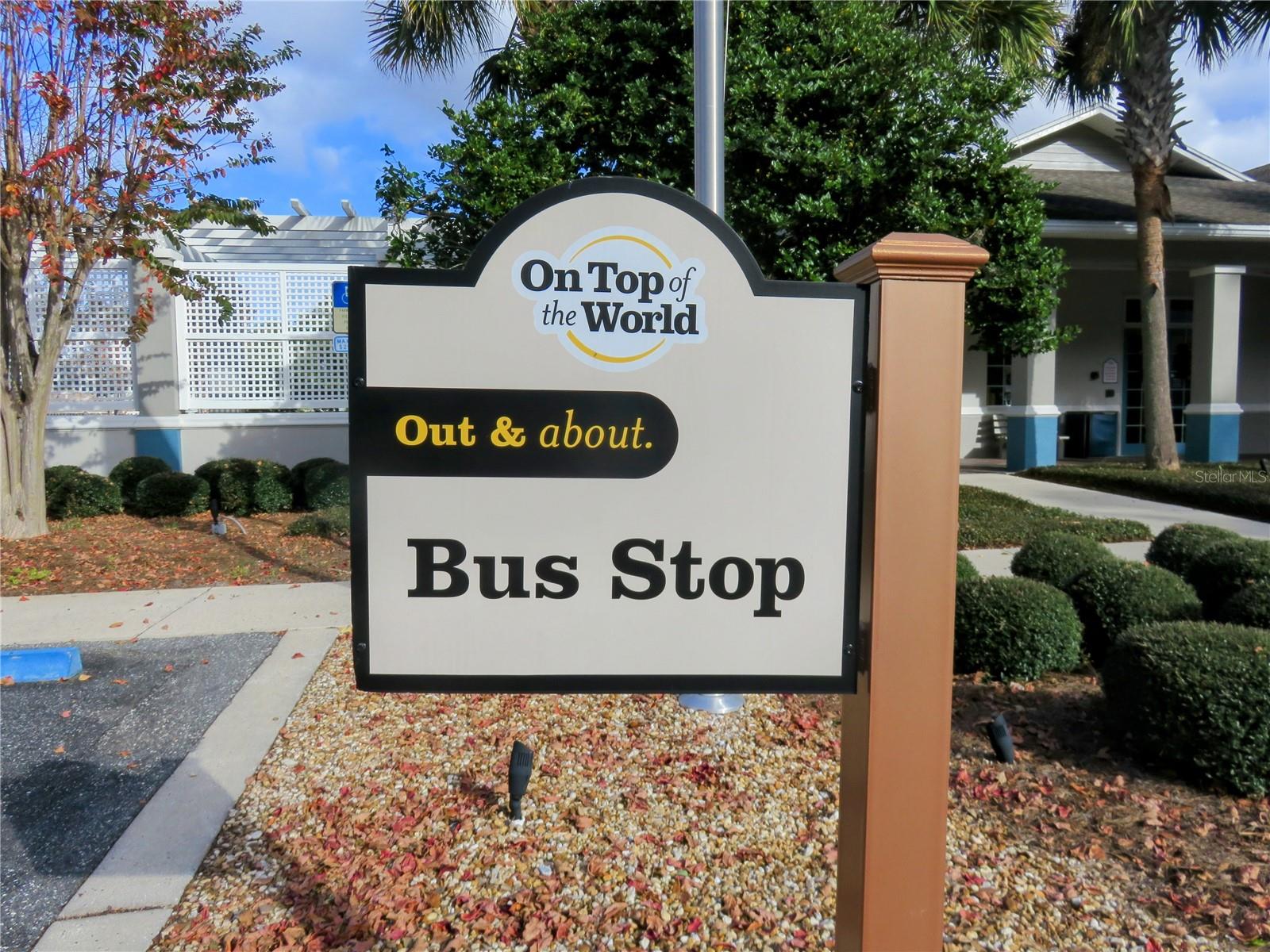 8546 SW 79TH AVE, OCALA, FL, 34476