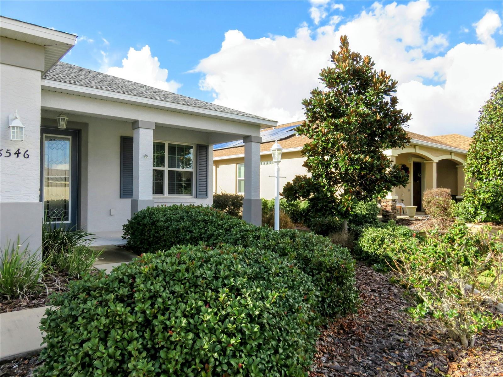 8546 SW 79TH AVE, OCALA, FL, 34476
