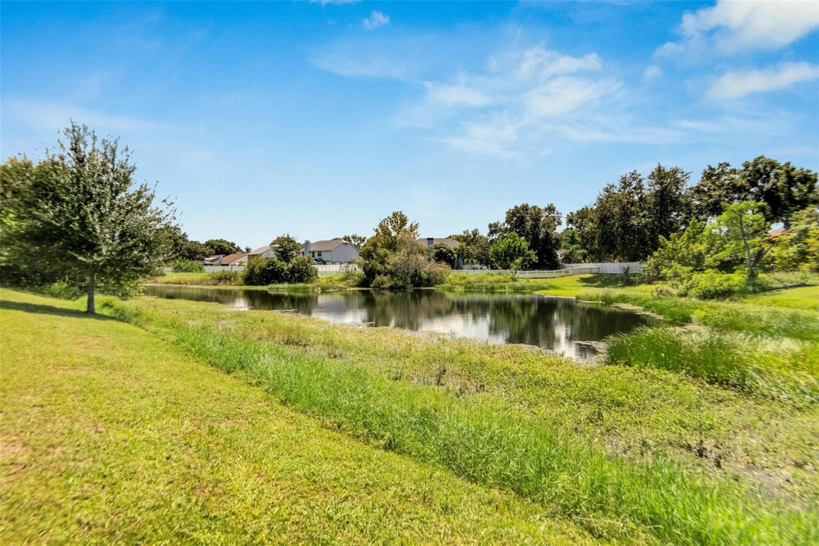10118 TARRAGON DR, RIVERVIEW, FL, 33569