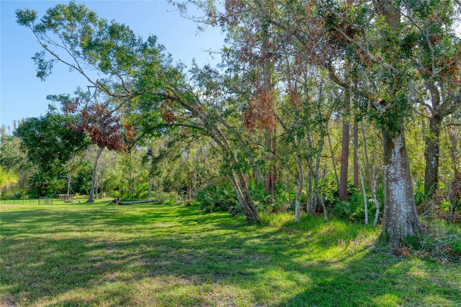 15709 MUIRFIELD DR, ODESSA, FL, 33556
