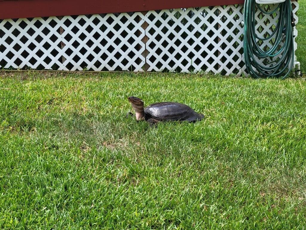 6443 W RIVERBEND RD, DUNNELLON, FL, 34433