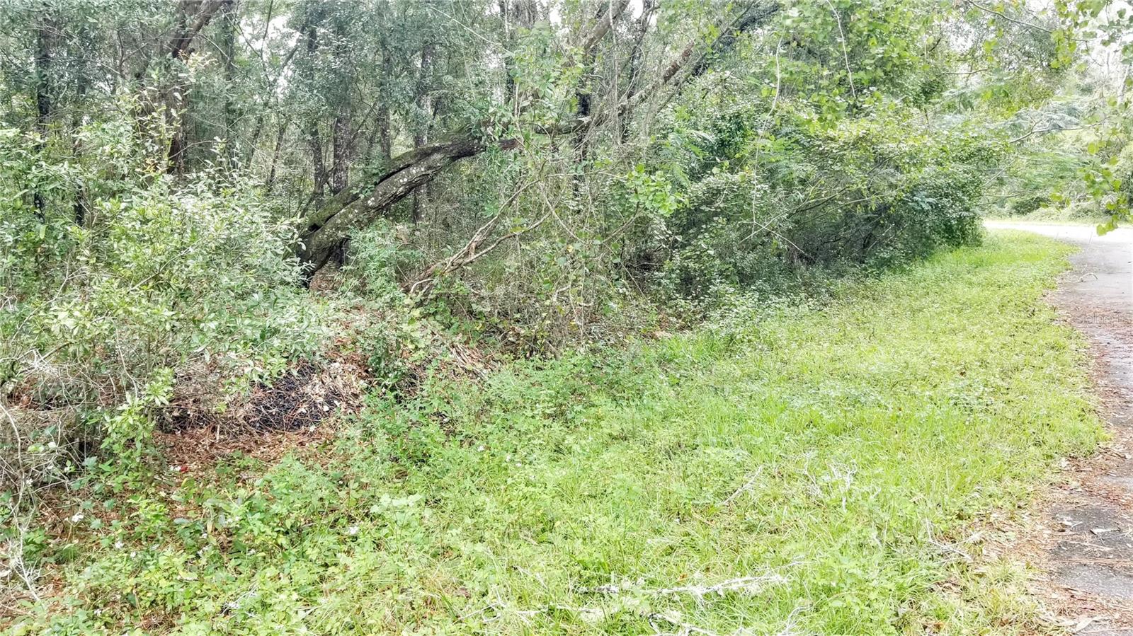 9775 N DEARING LOOP, CITRUS SPRINGS, FL, 34434